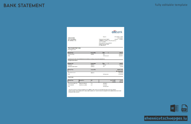 Beispiel eines Kontoauszugs der französischen Citibank (Excel-Datei, Vorschau)